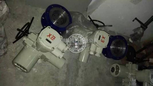 精小型防爆电动蝶阀