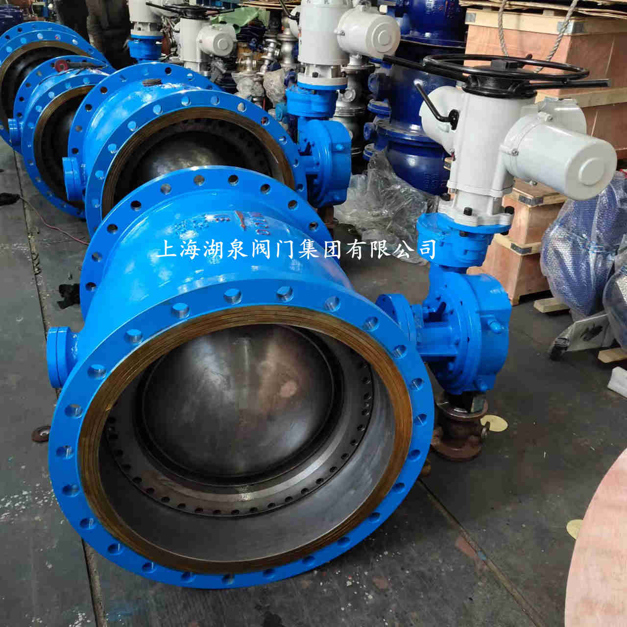 手动大口径偏心半球阀厂家