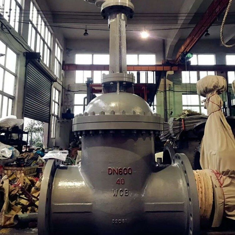 调节型电动闸阀公司z941h-25c dn600