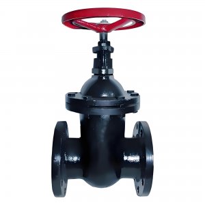 闸阀Z41T-10 PN1.0 DN50 铸铁法兰式