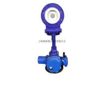 上海湖泉PZ973-10C  DN300粉料浆液专用闸板阀