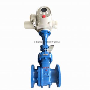 手电一体化电动闸阀Z941H-64C  DN300