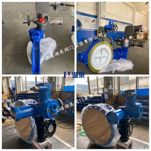 矿用电动蝶阀WSD943X-16P DN500含执行器